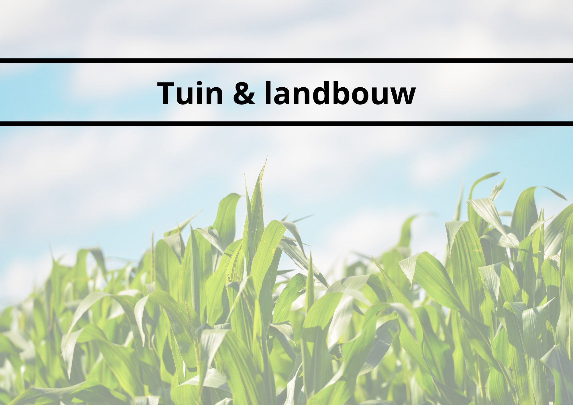 Gardening & agriculture